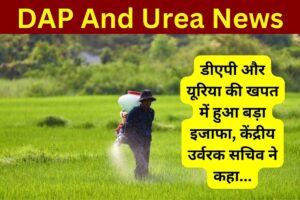 DAP And Urea News (1)