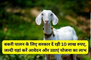 Goat Farming Yojana 2023