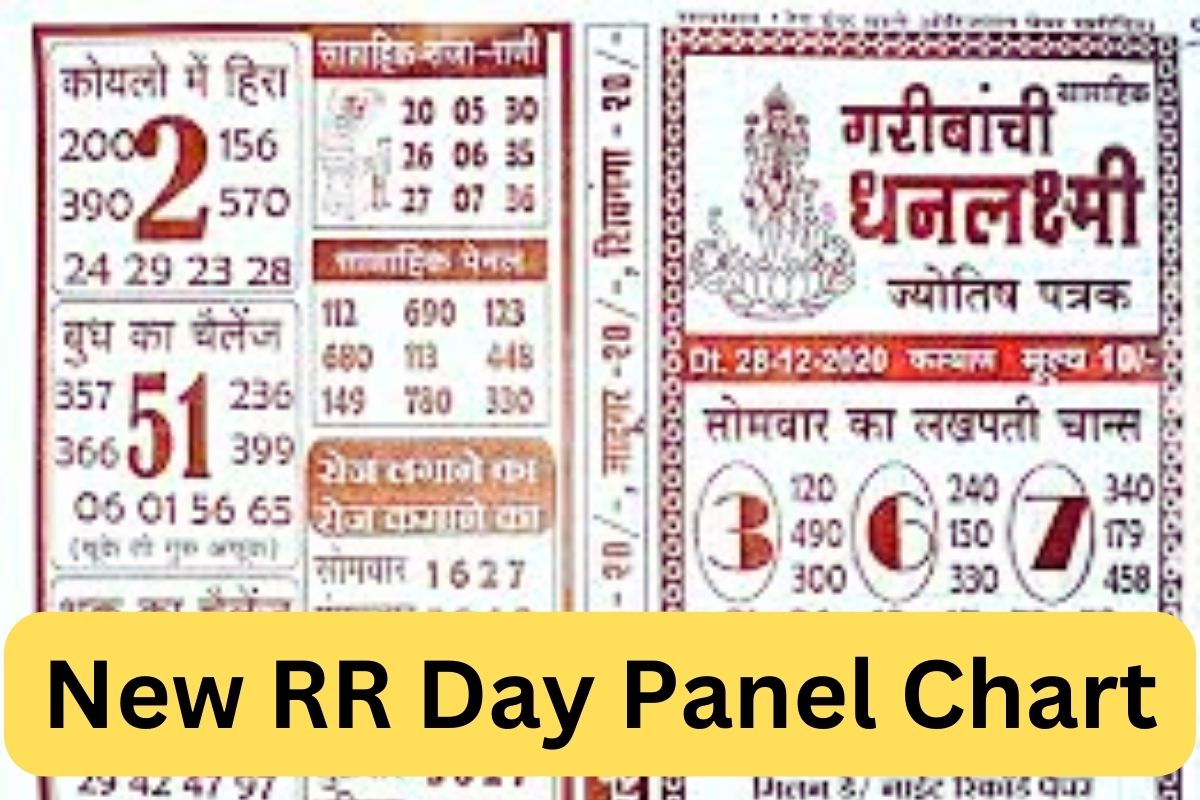 New RR Day Panel Chart