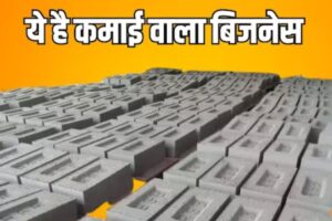 Fly Ash Brick Business